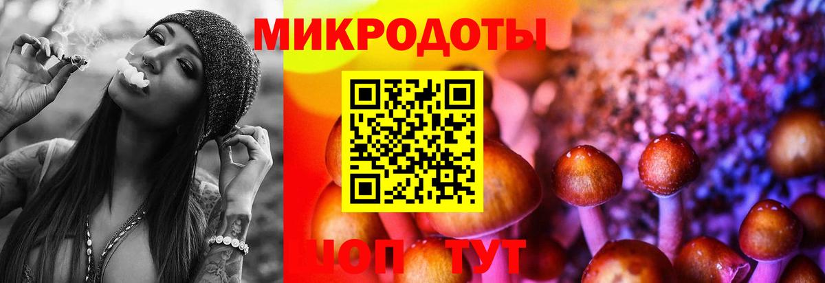 Псилоцибиновые грибы прущие грибы Алапаевск